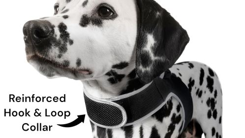 GPS Collar Pet Locating Device Waterproof Rechargeable Tracking Device Size:XXL