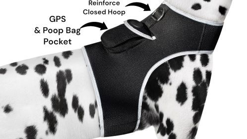 Global Pet Finder GPS Pet Tracker Waterproof MIni Collar Mount Device Size:XXL